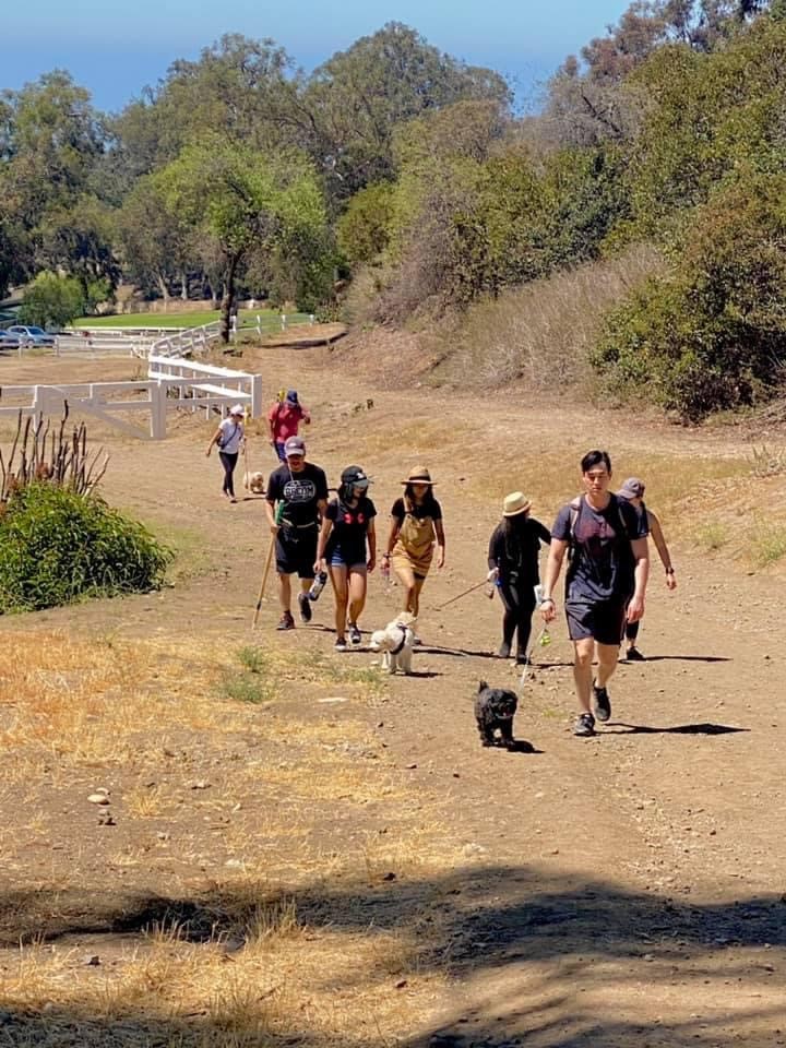 pet ministry 2